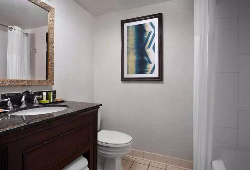 اتاق استاندارد با تخت بزرگ, Hilton Fort Collins