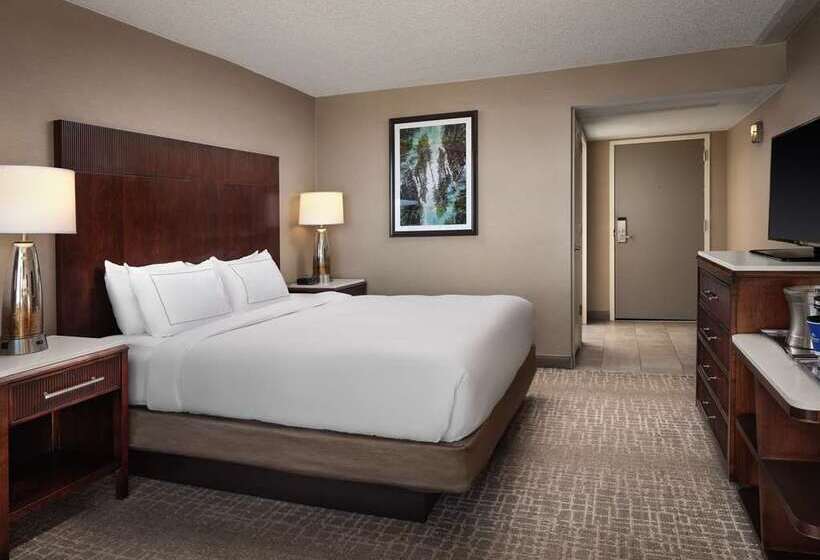 스탠다드 룸 킹사이즈 침대, Hilton Fort Collins