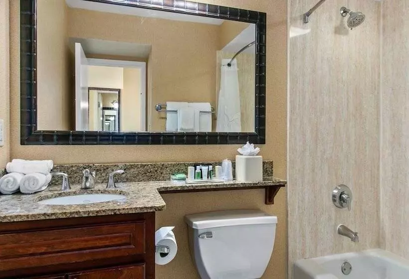 اتاق استاندارد, Holiday Inn & Suites Clearwater Beach, An Ihg