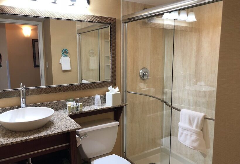 Люкс Вид на Город, Holiday Inn & Suites Clearwater Beach, An Ihg