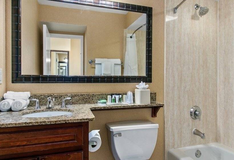 جناح مطل على المدينة, Holiday Inn & Suites Clearwater Beach, An Ihg