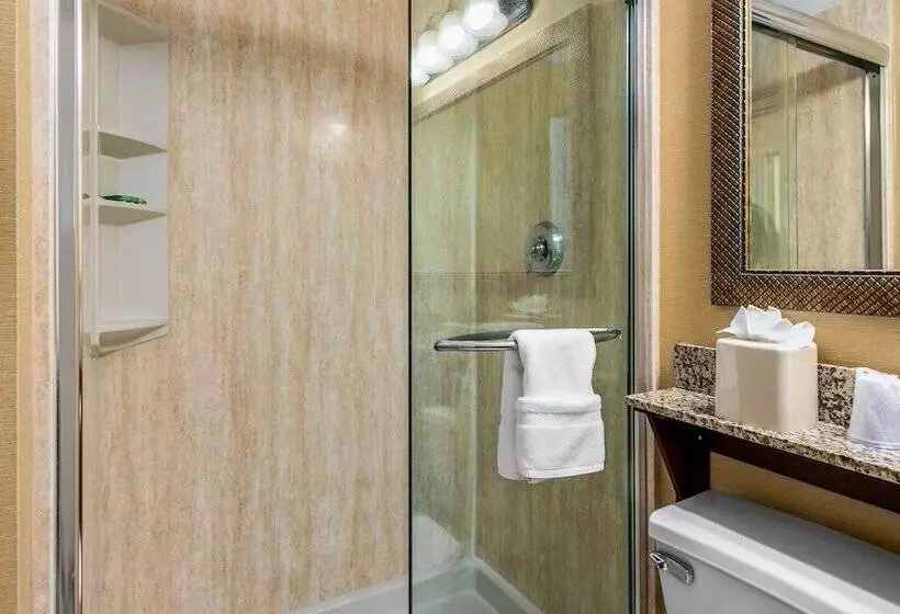 مجموعه ویستا شهر, Holiday Inn & Suites Clearwater Beach, An Ihg