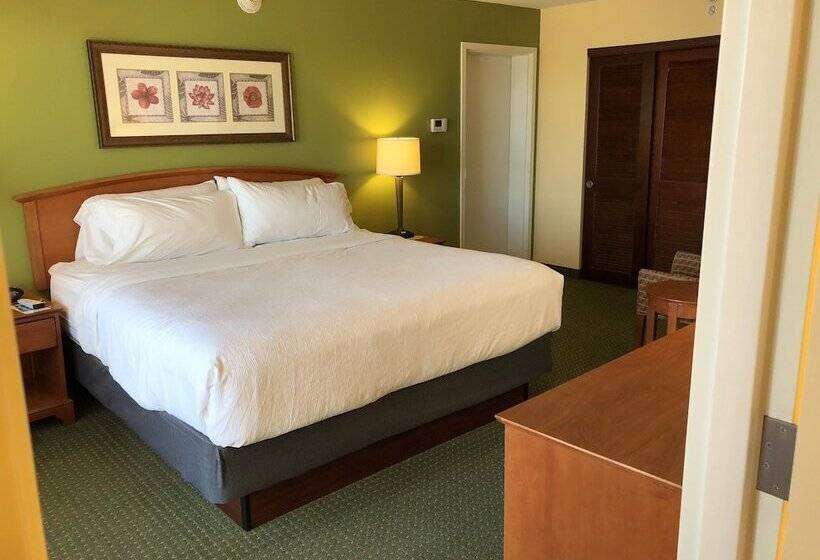 Люкс Вид на Город, Holiday Inn & Suites Clearwater Beach, An Ihg