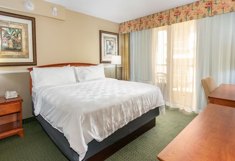 جناح مطل على المدينة, Holiday Inn & Suites Clearwater Beach, An Ihg