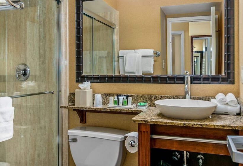 جناح مطل على المدينة, Holiday Inn & Suites Clearwater Beach, An Ihg