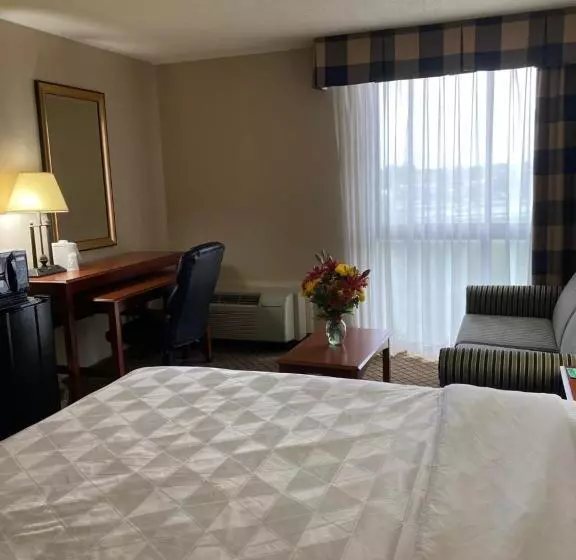 اتاق استاندارد با تخت بزرگ, Holiday Inn Cincinnati Eastgate, An Ihg