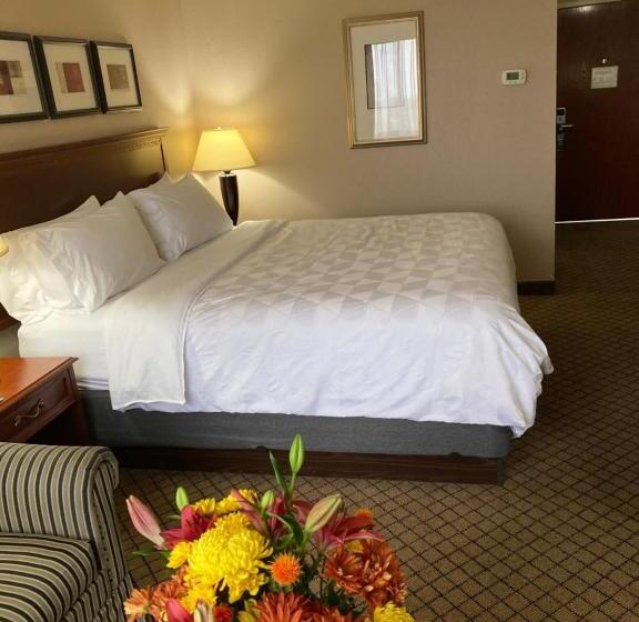 带大床的标准间, Holiday Inn Cincinnati Eastgate, An Ihg