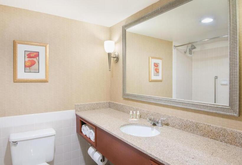 带大床的行政房间, Holiday Inn Cincinnati Eastgate, An Ihg