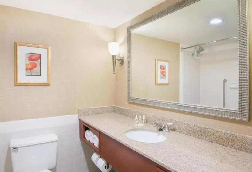 اتاق اجرایی با تخت بزرگ, Holiday Inn Cincinnati Eastgate, An Ihg