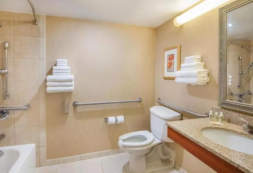 اتاق استاندارد با تخت بزرگ برای معلولان, Holiday Inn Cincinnati Eastgate, An Ihg