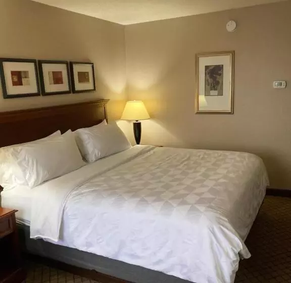 اتاق استاندارد با تخت بزرگ برای معلولان, Holiday Inn Cincinnati Eastgate, An Ihg
