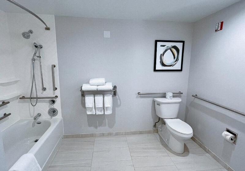 适合残疾人士使用的带超级大床的标准间, Holiday Inn Los Angeles Lax Airport, An Ihg