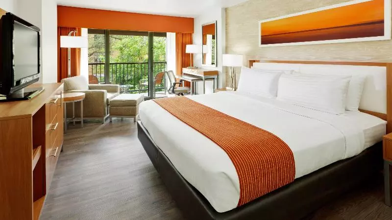 اتاق استاندارد با تخت بزرگ, Holiday Inn San Antonio Riverwalk, An Ihg