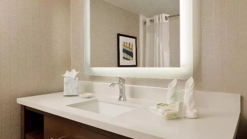 سوئیت با تخت بزرگ, Holiday Inn San Antonio Riverwalk, An Ihg