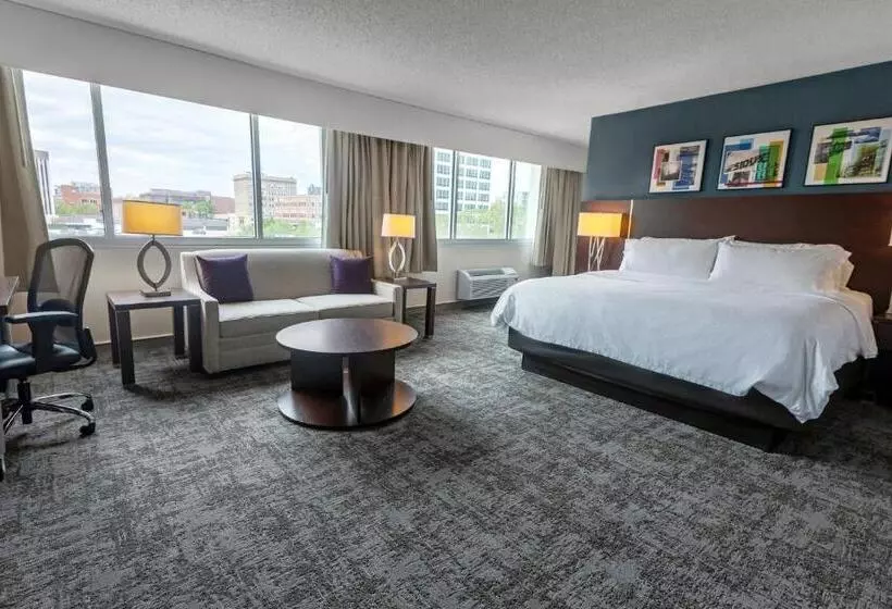 اتاق اجرایی با تخت بزرگ, Holiday Inn Sioux Falls City Center, An Ihg