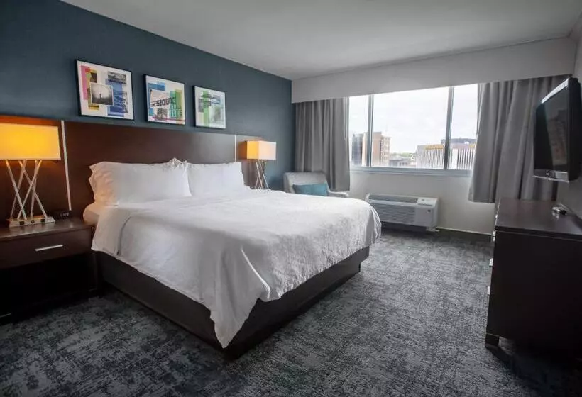 سوئیت اجرایی با تخت کینگ, Holiday Inn Sioux Falls City Center, An Ihg