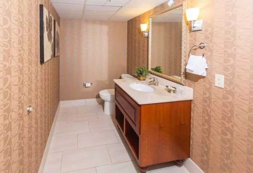 سوئیت پرزیدنت, Holiday Inn Sioux Falls City Center By Ihg