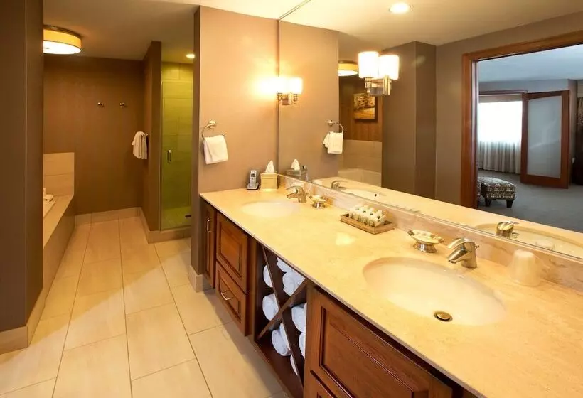 سوئیت پرزیدنت, Holiday Inn Sioux Falls City Center By Ihg