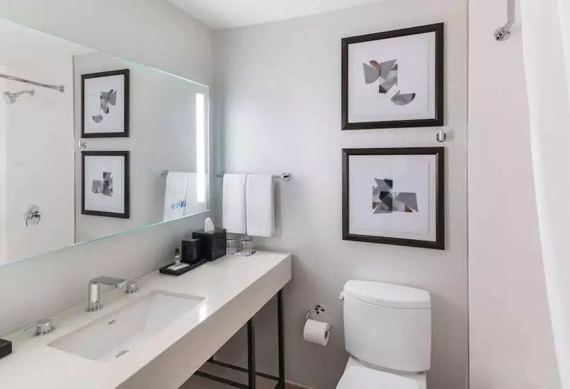 ２ダブルベッドのスタンダードルーム, Hyatt Regency Ohare Chicago