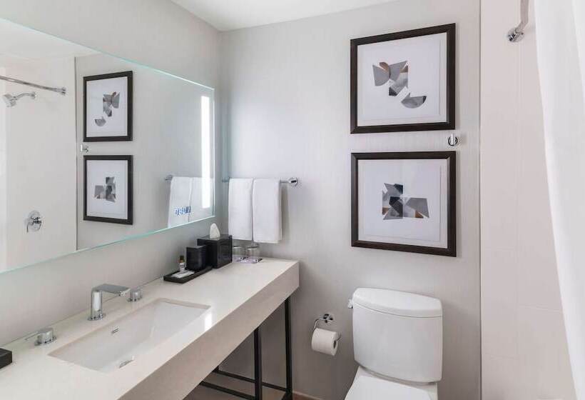 디럭스 스위트, Hyatt Regency Ohare Chicago