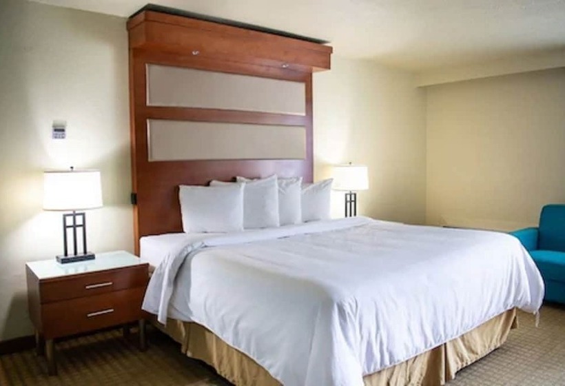 スタンダードルーム, Punta Gorda Waterfront  & Suites