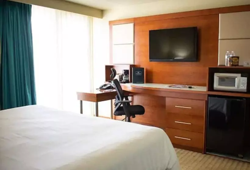ダブルベッドのスタンダードシングルルーム, Punta Gorda Waterfront  & Suites