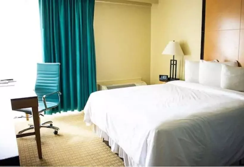 ダブルベッドのスタンダードシングルルーム, Punta Gorda Waterfront  & Suites