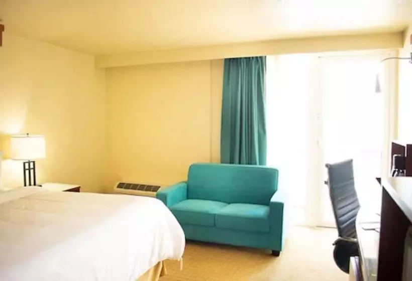 ダブルベッドのスタンダードシングルルーム, Punta Gorda Waterfront  & Suites