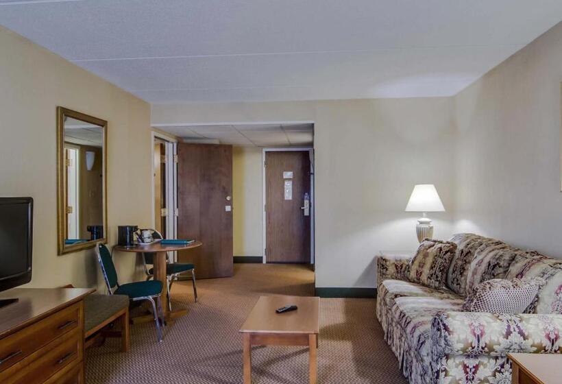 חדר סטנדרט עם מיטת קינג, Quality Hotel And Conference Center