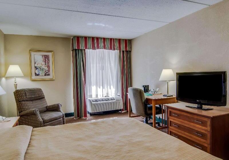 스탠다드 룸 킹사이즈 침대, Quality Hotel And Conference Center