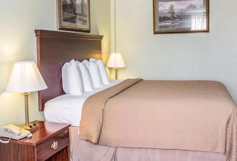 اتاق استاندارد با تخت بزرگ, Quality Inn & Conference Center