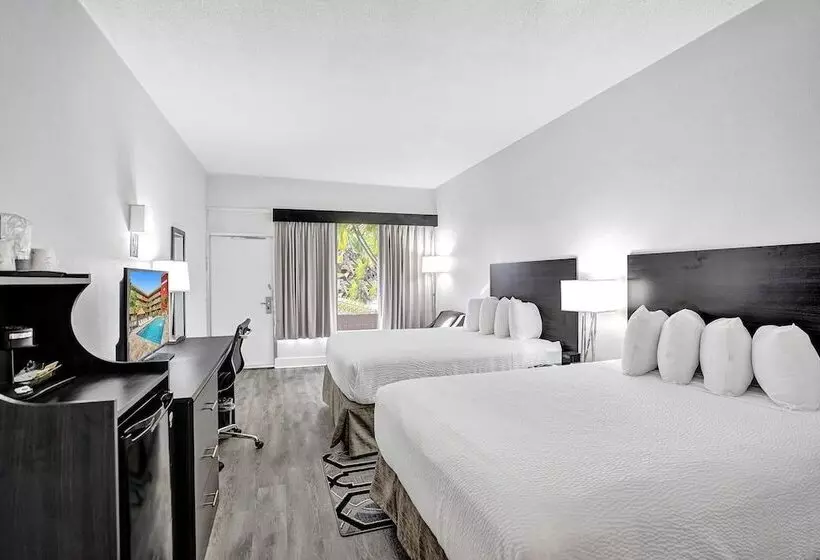 اتاق لوکس, The Harrison Hotel, An Ascend Collection