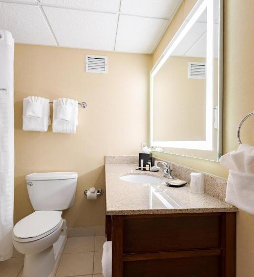 Стандартный Номер Кровать Кинг, Wyndham Omaha Hotel West Dodge