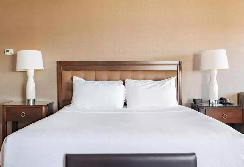 キングサイズベッドのスタンダードルーム, Wyndham Omaha Hotel   West Dodge