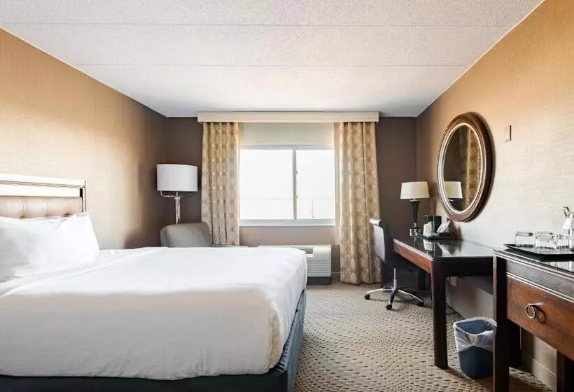 キングサイズベッドのスタンダードルーム, Wyndham Omaha Hotel   West Dodge