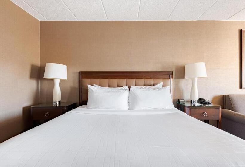 Номер Стандарт Кровать Кинг Адаптированный для Инвалидов, Wyndham Omaha Hotel West Dodge