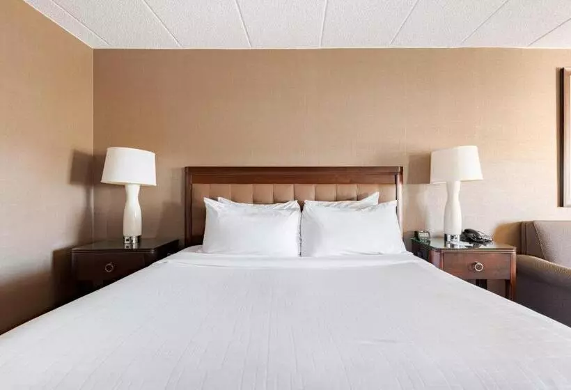 身障者適用キングサイズベッドルーム, Wyndham Omaha Hotel   West Dodge