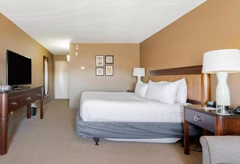 身障者適用キングサイズベッドルーム, Wyndham Omaha Hotel   West Dodge