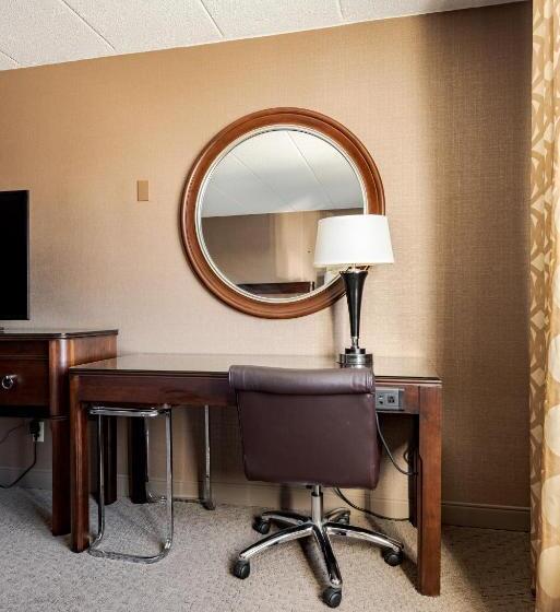 Номер Стандарт Кровать Кинг Адаптированный для Инвалидов, Wyndham Omaha Hotel West Dodge