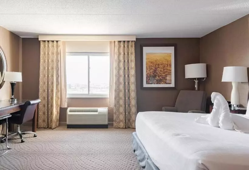 身障者適用キングサイズベッドルーム, Wyndham Omaha Hotel   West Dodge