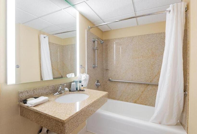 Номер Стандарт Кровать Кинг Адаптированный для Инвалидов, Wyndham Omaha Hotel West Dodge