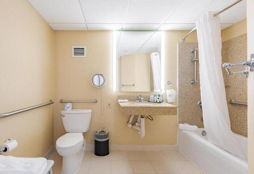 Номер Стандарт Кровать Кинг Адаптированный для Инвалидов, Wyndham Omaha Hotel West Dodge