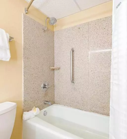 キングサイズベッドのデラックスルーム, Wyndham Omaha Hotel   West Dodge
