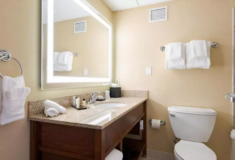 キングサイズベッドのデラックスルーム, Wyndham Omaha Hotel   West Dodge