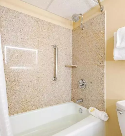 キングサイズベッドのデラックスルーム, Wyndham Omaha Hotel   West Dodge