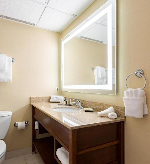 Номер Deluxe Кровать Кинг, Wyndham Omaha Hotel West Dodge