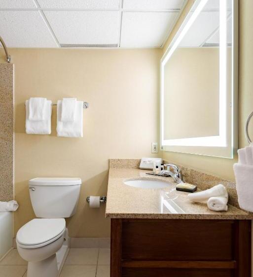 Номер Deluxe Кровать Кинг, Wyndham Omaha Hotel West Dodge