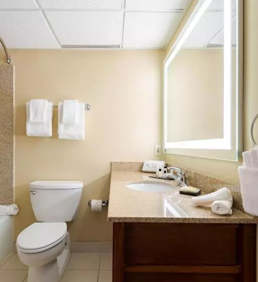 キングサイズベッドのデラックスルーム, Wyndham Omaha Hotel   West Dodge