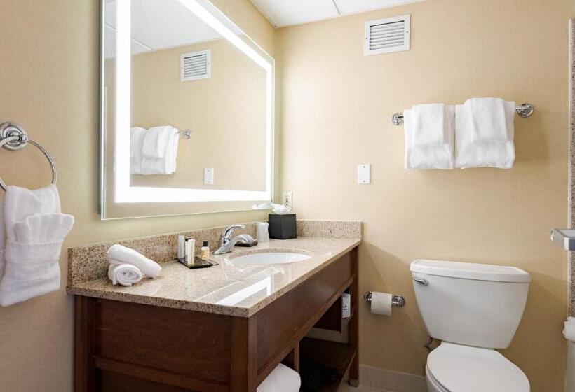 Номер Стандарт, Wyndham Omaha Hotel West Dodge