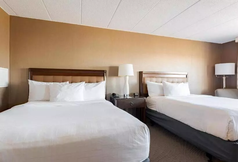 スタンダードルーム, Wyndham Omaha Hotel   West Dodge